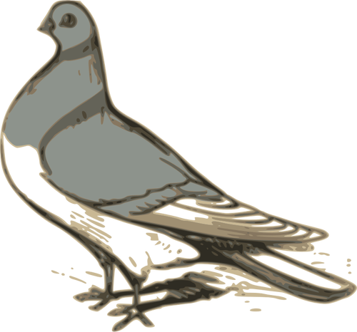 Clipart vetorial de ilustração de pombo cinzento