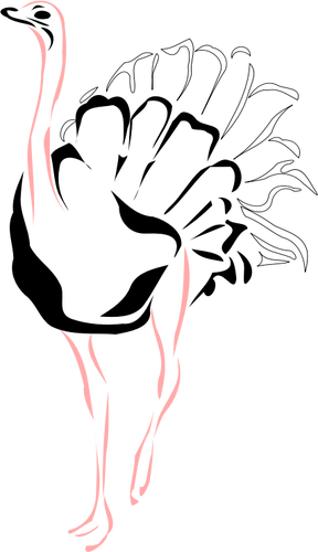 Strutsi vaaleanpunaisilla jaloilla vektori kuva