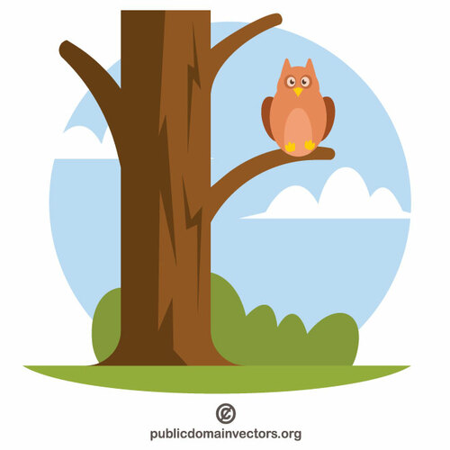 Hibou sur l’arbre