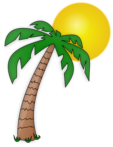 Palm tree and the Sun