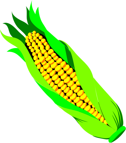 Färg vektorbild av ar majs