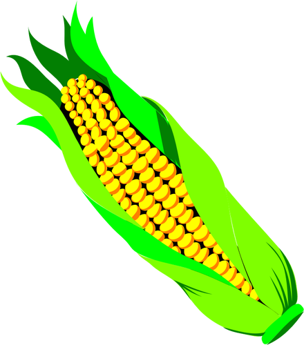 Color vector image of ar of corn