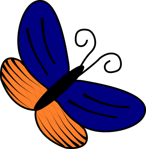 Blue and orange butterfly