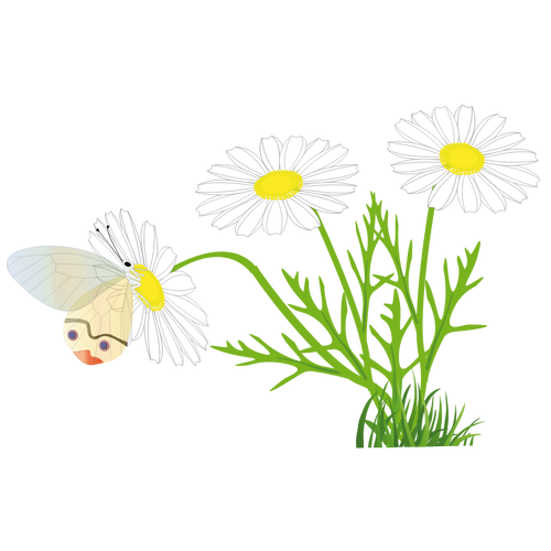 Vlinder aan een daisy vector afbeelding