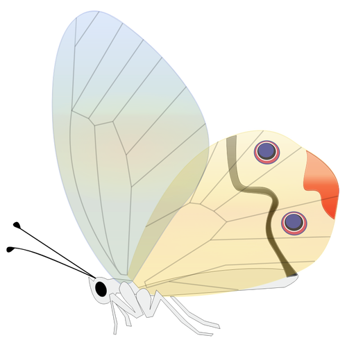 Ilustración de vector de cómic mariposa