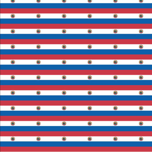 파라과이 완벽 한 패턴의 국기