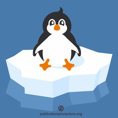 Pingvin sitter på is
