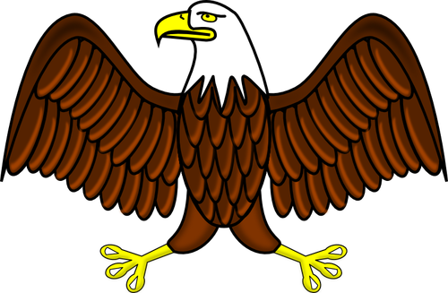 Color bald eagle vector image