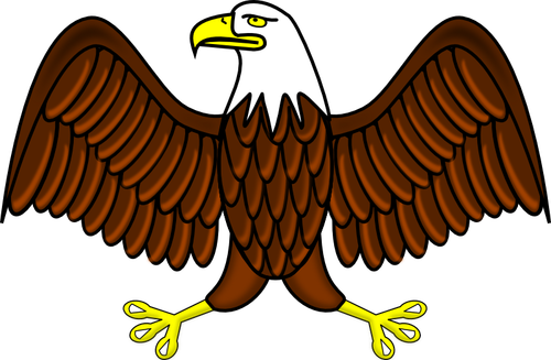 Bald eagle vector färgbild