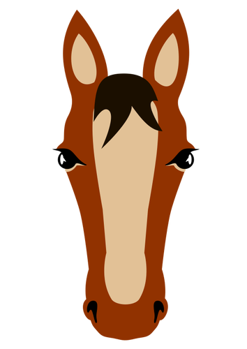 הפנים של הסוס