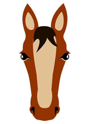 Visage du cheval