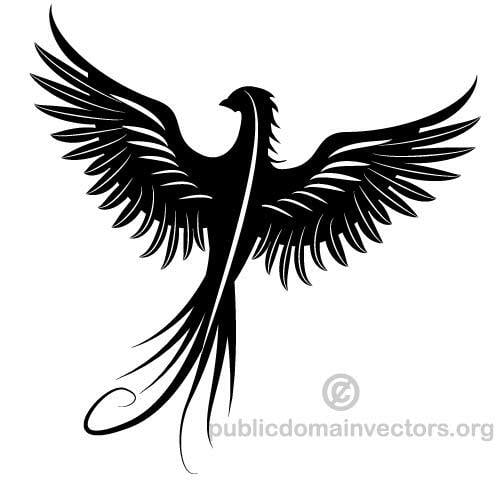 Phoenix bird vector image