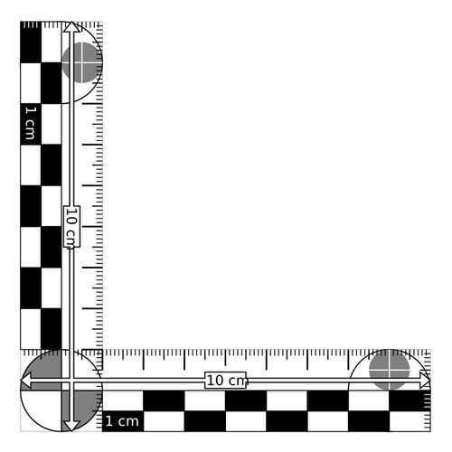 Black and white scale