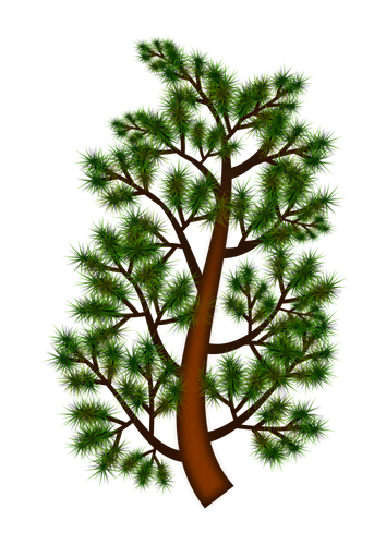 ענף עץ אורן
