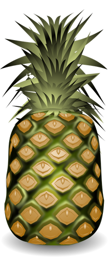 Ananas hedelmät