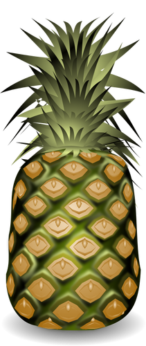 Ananas, fruit