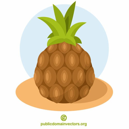 Pineapple fruit icon