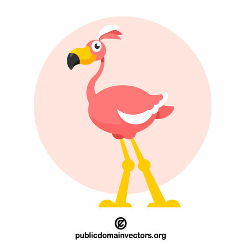 Pink flamingo bird