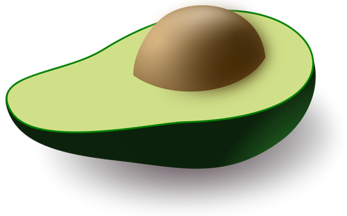 Avocado Vektor-Bild