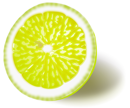 Limon veya limon vektör görüntü