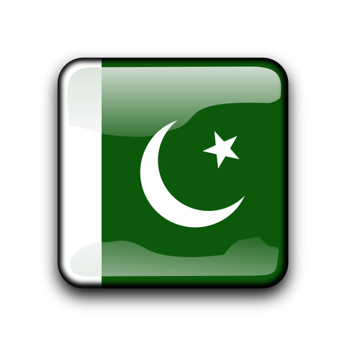 巴基斯坦矢量标志正方形形状内