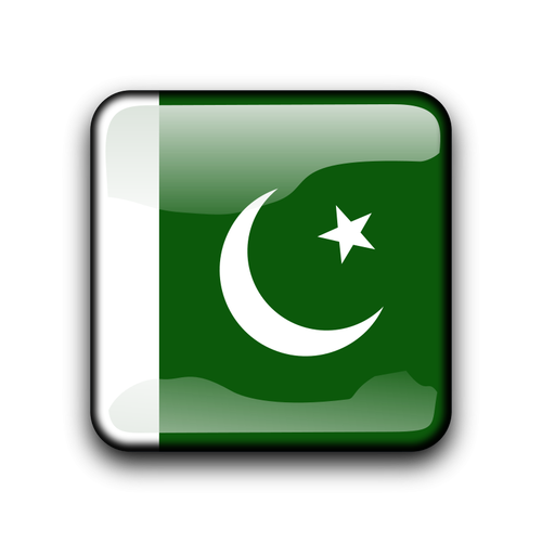 Drapeau de vecteur du Pakistan à l