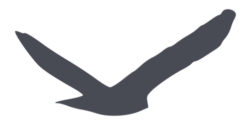 Silhouette de l’oiseau de proie