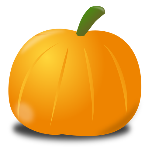 Pumpkin with shadow vector image