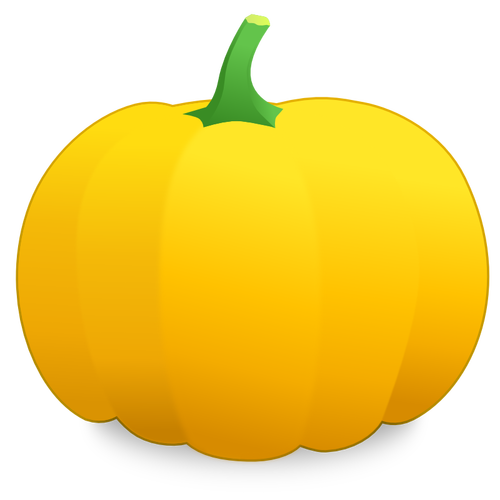 Yellow pumpkin vector image