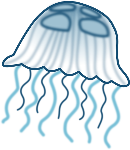 Color jellyfish vector drawing
