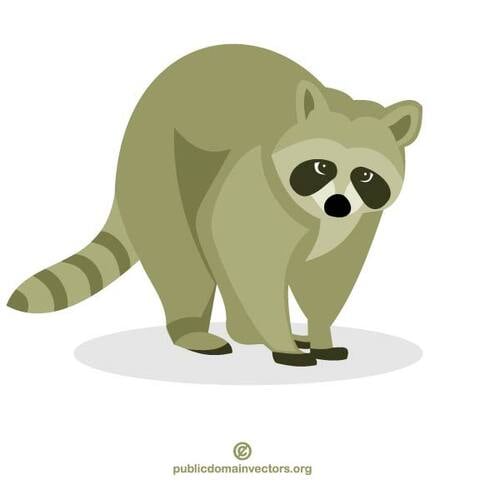 Racoon vector miniaturi