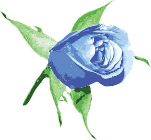 Niebieska Róża wektorowa