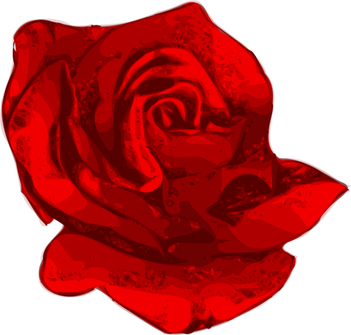 Rose rød