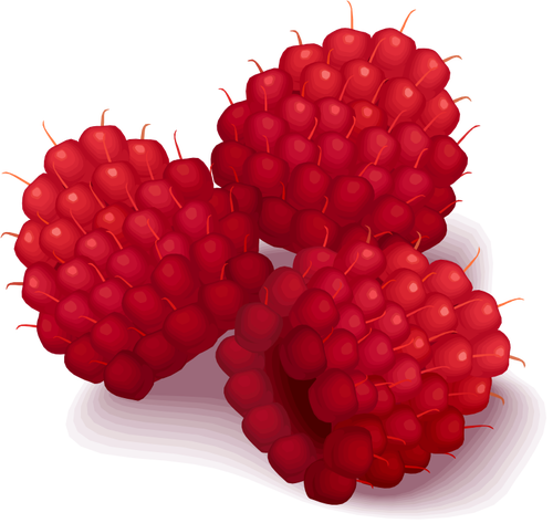 Raspberries