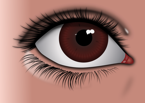 Realistic brown eye