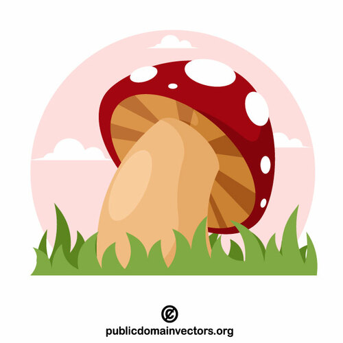 Red mushroom