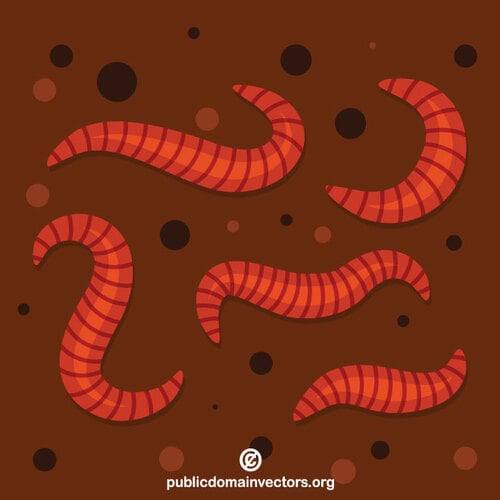 Rote Würmer