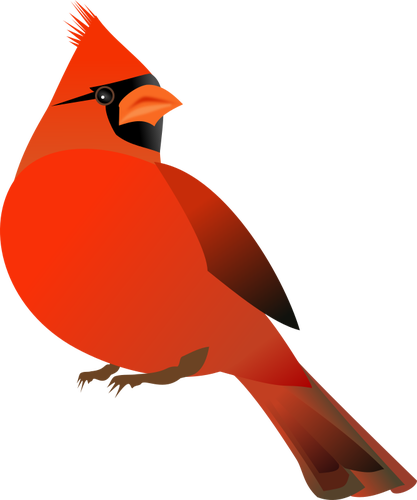 Rød kardinal