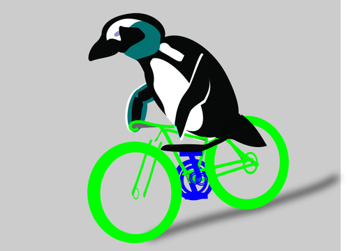 Pinguino in bicicletta