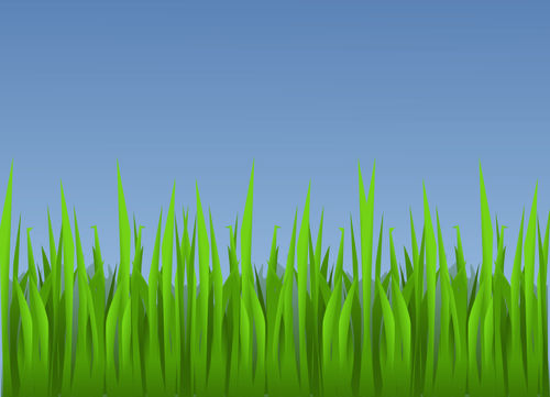 Green grass vector drawing