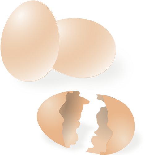 Dibujo vectorial de la cáscara de huevo roto y todo