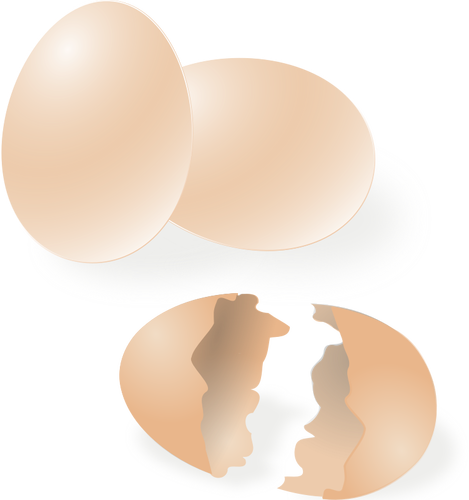 Broken and whole egg shell vector drawing