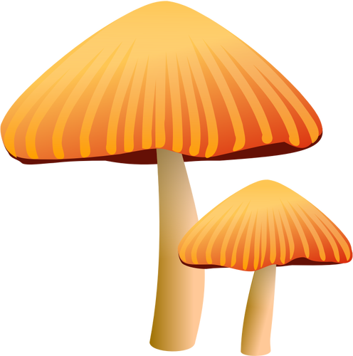 Oranje paddestoelen vector tekening