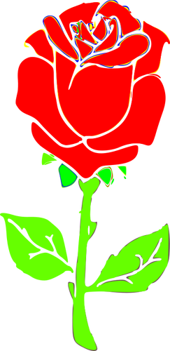 Rose afbeelding tekenen