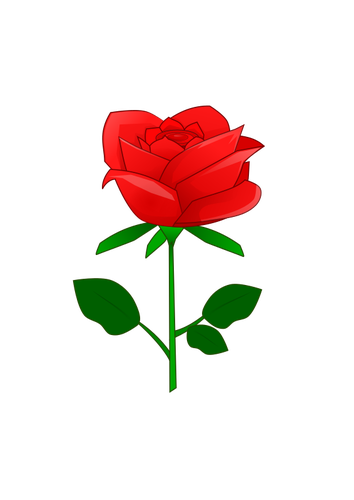 ורד אדום