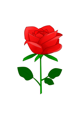 Rød rose