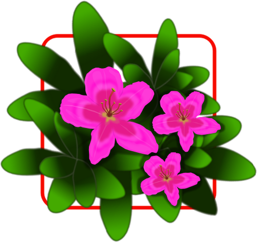 Pink azalea vector drawing