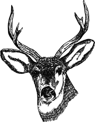 Testa di cervo con corna vettoriale immagine