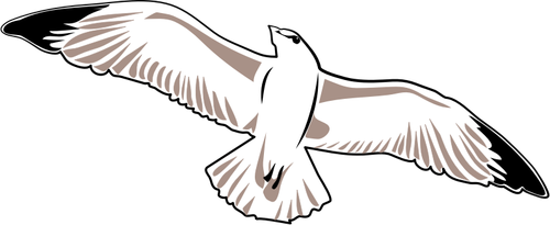 Seagull vector afbeelding