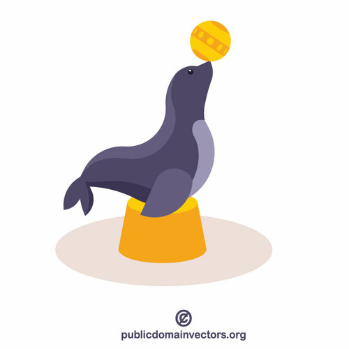 Circus seal